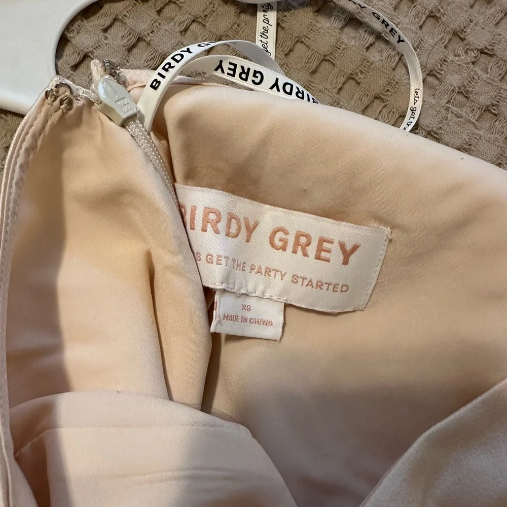 Birdy Gray champaign satin one shoulder dress - Picture 5 of 7
